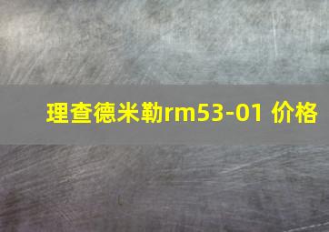 理查德米勒rm53-01 价格